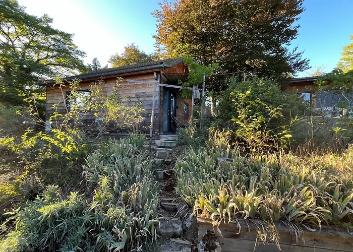 Guest house Le Des Iris Saint-Maurice-de-Gourdans